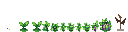 Orbit Melon Crops
