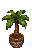Large Palm Plant