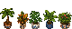 Floor Plants Legacy