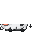 Black & White Cow Front